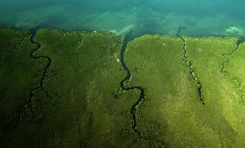 Parco Nazionale delle Quirimbas