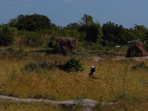 Parco Nazionale delle Quirimbas