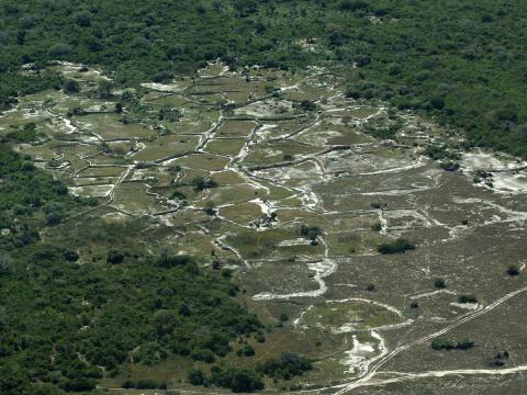 Parco Nazionale delle Quirimbas